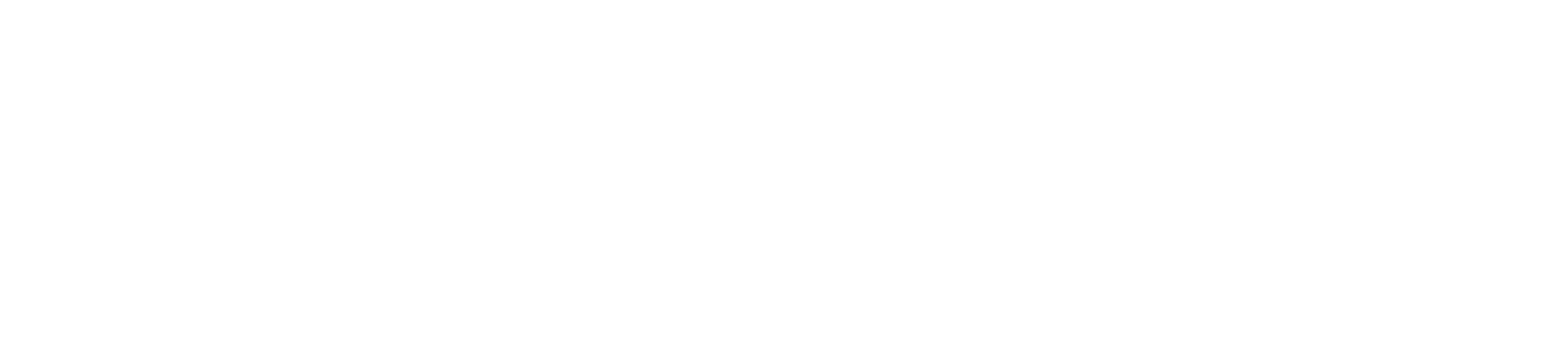 Auto Agentic